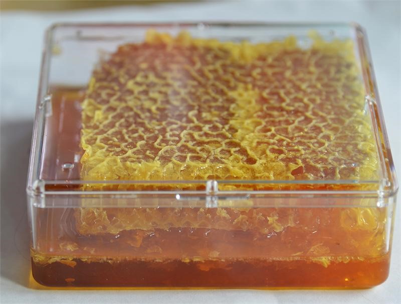  Raw Honey Face Mask River Club at Carlton Vero Beach FL